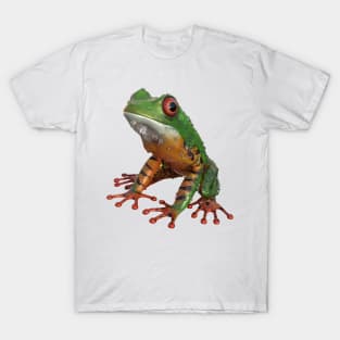 Frog/Red-Eyed Amazon Tree Frog T-Shirt